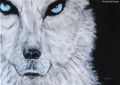 White Wolf